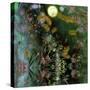 Beltane-Mindy Sommers-Stretched Canvas