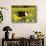 Belted Galloway Cow in Sunflowers, Pecatonica, Illinois, USA-Lynn M^ Stone-Stretched Canvas displayed on a wall