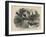 Belted King Fisher and Buffel Headed Duck-Mannevillette Elihu Dearing Brown-Framed Giclee Print