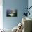 Beluga Whale, Hudson Bay, Canada-null-Stretched Canvas displayed on a wall
