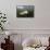 Beluga Whale, Hudson Bay, Canada-null-Framed Stretched Canvas displayed on a wall