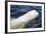 Beluga Whale, Hudson Bay, Canada-Paul Souders-Framed Photographic Print