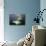 Beluga Whale, Hudson Bay, Canada-null-Mounted Photographic Print displayed on a wall