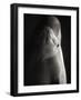 Beluga Whale-Henry Horenstein-Framed Photographic Print