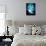 Beluga Whales, Artwork-Victor Habbick-Framed Stretched Canvas displayed on a wall