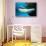 Beluga Whales-null-Stretched Canvas displayed on a wall