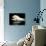 Beluga White Whale Surfacing, Vancouver Aquarium, Canada-Eric Baccega-Photographic Print displayed on a wall