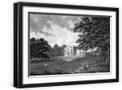 Black Frame