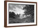 Brown Frame