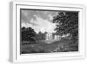White Frame