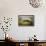 Belvedere Sunrise Tuscany-Jim Nilsen-Framed Giclee Print displayed on a wall