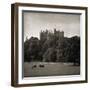 Belvoir Castle Horses-Pete Kelly-Framed Giclee Print