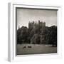 Belvoir Castle Horses-Pete Kelly-Framed Giclee Print