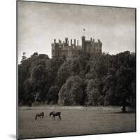 Belvoir Castle Horses-Pete Kelly-Mounted Giclee Print