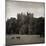 Belvoir Castle Horses-Pete Kelly-Mounted Giclee Print