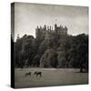Belvoir Castle Horses-Pete Kelly-Stretched Canvas