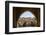 Belvoir Crusader Fortress, Lower Galilee Region, Israel, Middle East-Yadid Levy-Framed Photographic Print