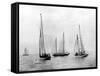 Bemuda Yachting Race-null-Framed Stretched Canvas