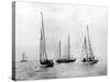 Bemuda Yachting Race-null-Stretched Canvas
