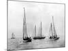 Bemuda Yachting Race-null-Mounted Photographic Print