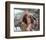 Ben Affleck - Pearl Harbor-null-Framed Photo