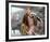 Ben Affleck - Pearl Harbor-null-Framed Photo