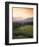 Ben Bulben, Yeats Country, Co. Sligo, Ireland-Doug Pearson-Framed Photographic Print