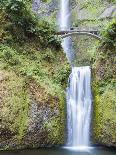Water Cascades Down Multnomah Falls, Oregon-Ben Coffman-Photographic Print
