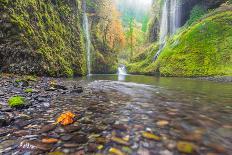 Water Pours from the Walls of Eagle Creek Canyon after a Recent Rainstorm, in Oregon-Ben Coffman-Photographic Print