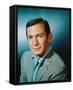 Ben Gazzara-null-Framed Stretched Canvas