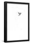Essential Black
