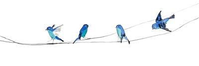 Watercolor Birds 2-Ben Gordon-Stretched Canvas