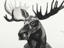Watercolor Moose-Ben Gordon-Stretched Canvas