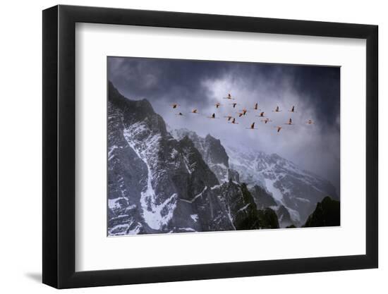 Premium Photographic Print, , large