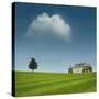 Stretched Canvas