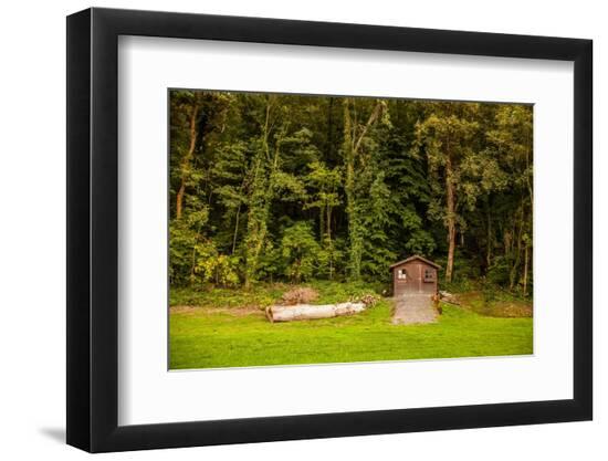 Photographic Print, , large