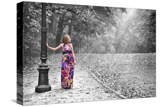Stretched Canvas Print, , large