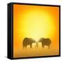 Canvas Black