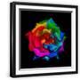 Black Frame