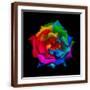 Brown Frame