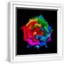 White Frame