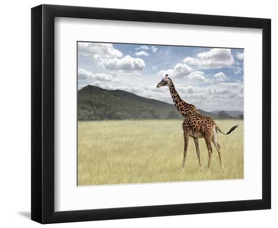 Photographic Print, , large