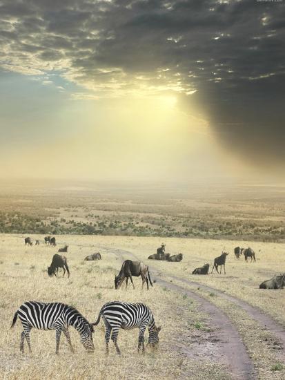 Premium Photographic Print, , large