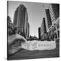 Stretched Canvas