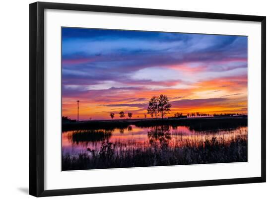 Photographic Print, , large