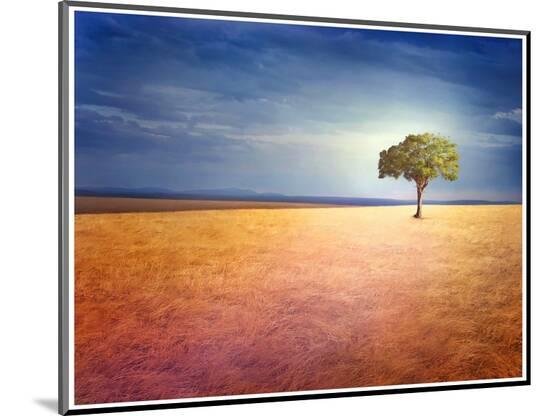 Photographic Print, , large