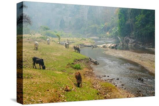 Stretched Canvas Print, , large