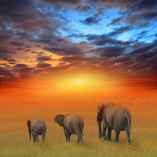 Photographic Print, , large