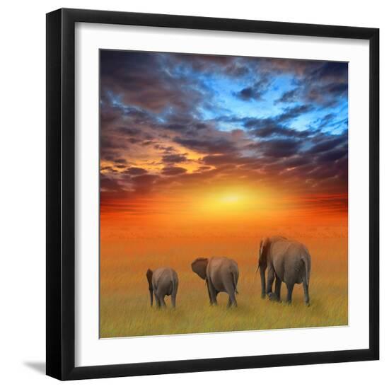 Premium Photographic Print, , large