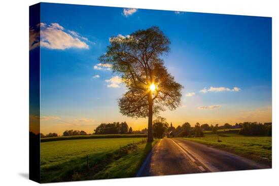 Stretched Canvas Print, , large